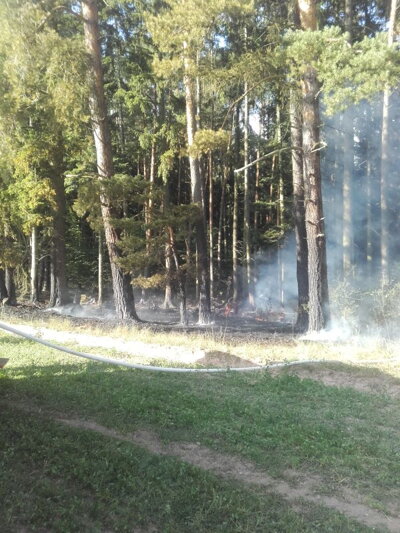 Požár lesa