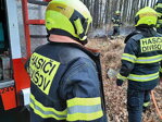 K požáru u Třebešic vyjeli hasiči z Divišova i Benešova