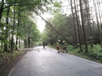 Silná noční bouře řádila na Divišovsku