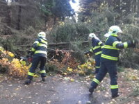 29.10. 2017 Vichřice lámala stromy v okolí Divišova 29.10. 2017 Vichřice lámala stromy v okolí Divišova