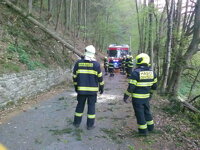 Noční požár pod Divišovem, padlý strom na dálnici D1 Noční požár pod Divišovem, padlý strom na dálnici D1
