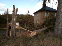 Při vichřici padaly stromy na silnice i domy