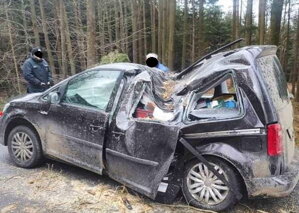 Vítr shazoval stromy na dálnici i auta