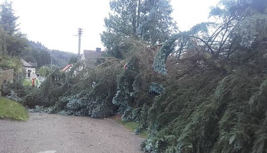 Při bouři Fabienne spadl strom na zaparkovaný automobil